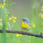 ゴールデンウィーク営業時間